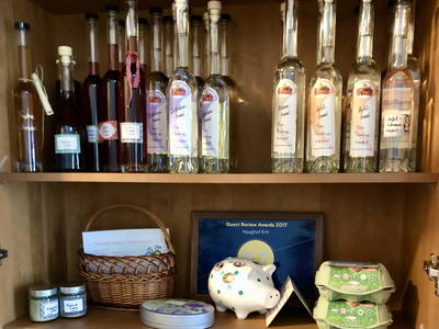 Bild 67 aus  Haaghof