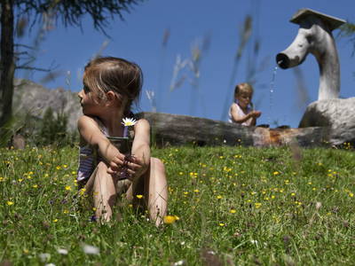 Bild 71 aus  Hartlhof Urlaub am Baby- und Kinderbauernhof