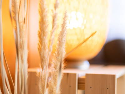 Bild 164 aus  Kassnhof