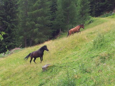 Bild 19 aus  Thürerhütte