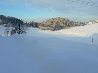 Bild 30 aus Biobauernhof Leitner Zizlbauer