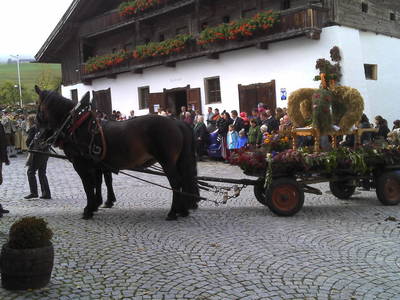 Bild 37 aus  Matzhof