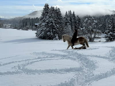 Bild 36 aus  Kuchlbauer