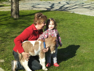 Bild 138 aus  Bauernhof Katin