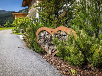 Bild 60 aus  Höllhof