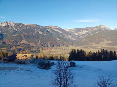 Bild 41 aus  Das DIRTLERGUT