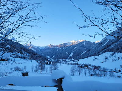 Bild 225 aus  Der Perweinhof