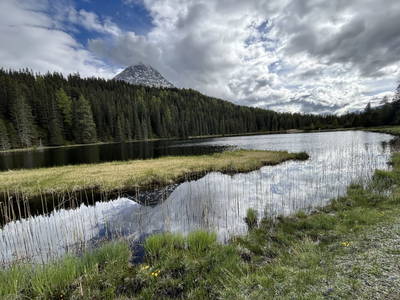 Bild 18 aus Riatschhof
