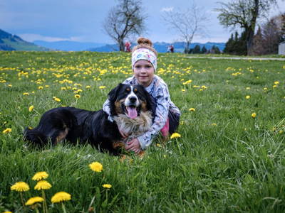 Bild 137 aus  Familie Nußbaumer 