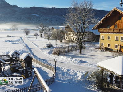 Bild 239 aus Kinderparadies Bachbauer