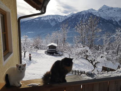 Bild 43 aus  Entschleunigungshof Huberbauer