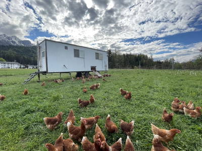 Bild 11 aus  Pechhof