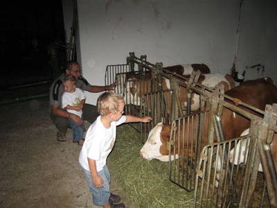 Bild 48 aus  Leitenbauer