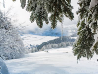 Bild 21 aus  klein Lenzhof