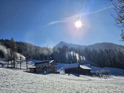 Bild 18 aus  Peterlehen