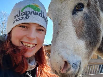 Bild 26 aus  Ferienwohnungen Widlroither (Kogler)