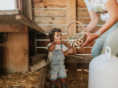 Bild 13 aus  Hattlerhof