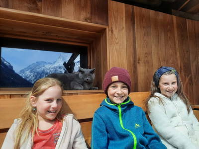 Bild 17 aus  Adlerhof Pitztal