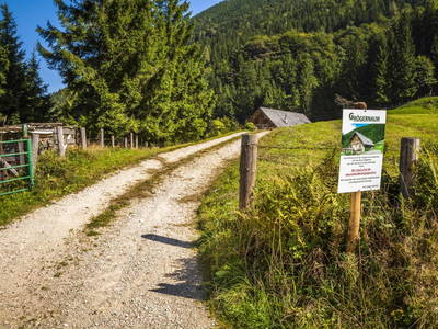 Bild 36 aus  Grögernalm