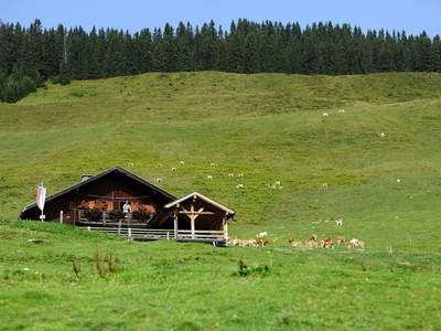 Bild 27 aus  Achrainer - Moosen