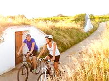Bild 138 aus Winzerhof Küssler, Weinviertel