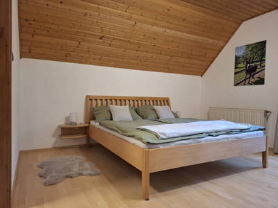 Bild 78 aus  Hanslgrabner