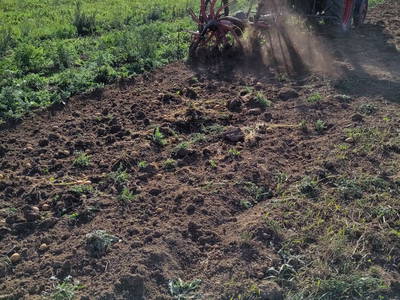 Bild 17 aus  Biohof Casa Rural