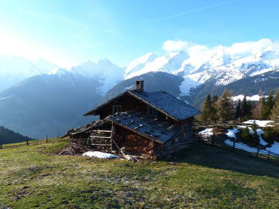 Bild 65 aus  Haus Alpengruss