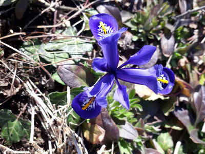 Bild 63 aus  Erlachhof