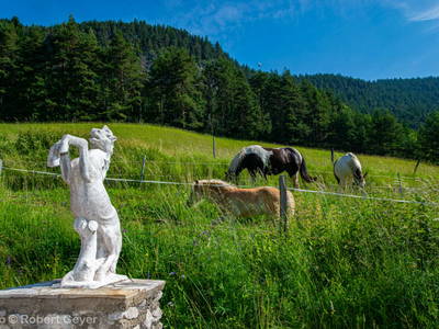 Bild 3 aus  Haus am Kolm