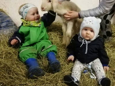 Bild 47 aus  Brandstatt