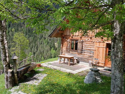 Bild 40 aus  Almhütte Meierle