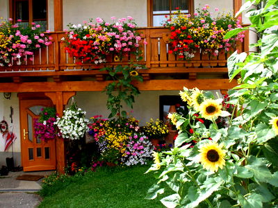 Bild 74 aus Bauernhof Pension Juri