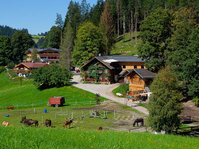 Bild 2 aus  Zauchtalerhof