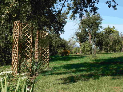 Bild 18 aus  Waldbothgut