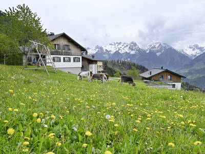 Bild 2 aus  Berghof Burtscher