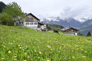 Berghof Burtscher aus Ludesch