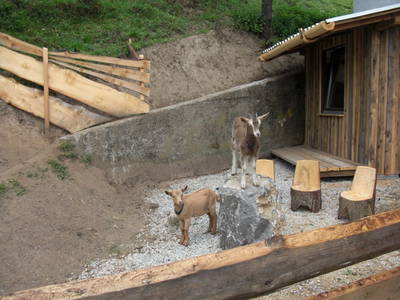 Bild 36 aus  Panorama Hof Fa. Sereinig