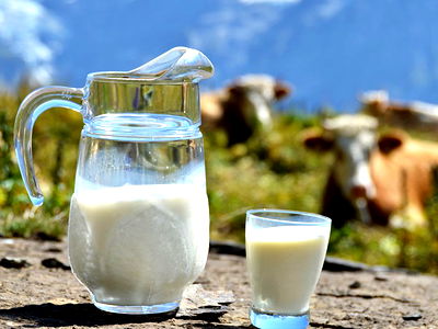 Bild 88 aus Brixnerhof im Zillertal