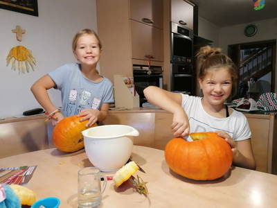 Bild 64 aus  Familie Resch am Hörlesberg