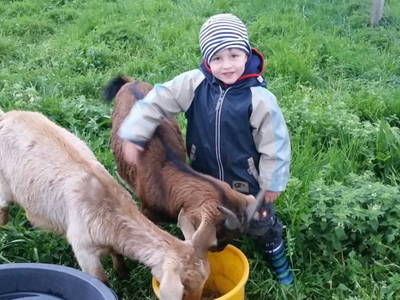 Bild 29 aus  Ferienwohnungen Strobel Eichstegen