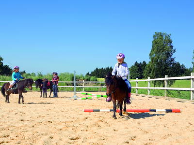 Bild 8 aus  Ferienhof Jehle