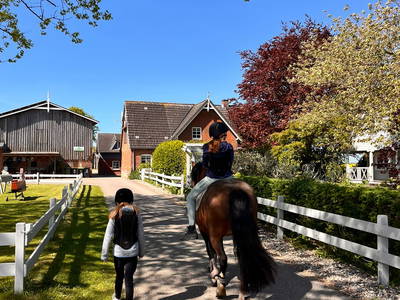 Bild 10 aus  Ferienhof Sell Bauernhofurlaub Ostsee Ponys