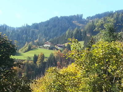 Bild 71 aus  Bauernhaus Gschwandner