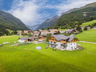 Bild 3 aus  Moamoosgut