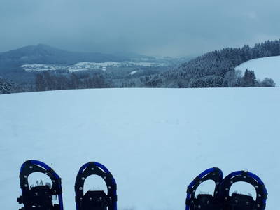 Bild 88 aus  Biohof Stadlbauer