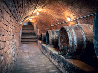 Bild 45 aus  Winzerhof Küssler, Weinviertel