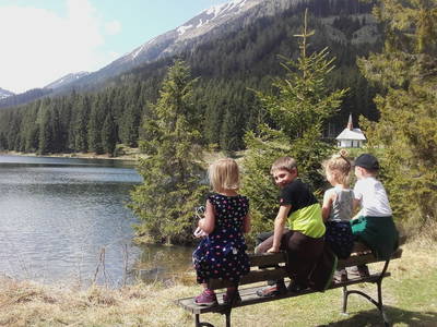 Bild 40 aus  Grassleralm