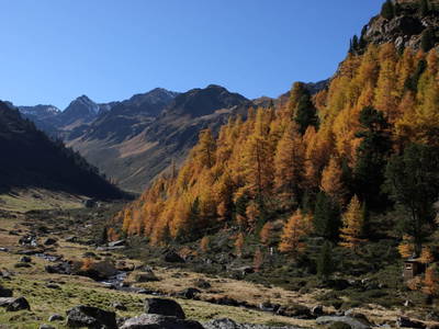 Bild 116 aus  Holzackerhof