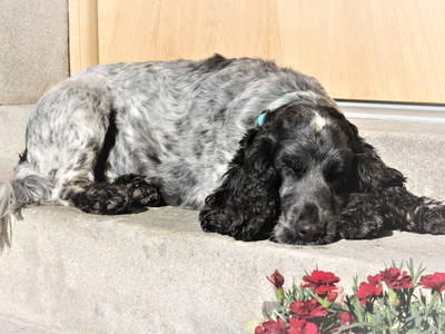 Bild 32 aus  Ferienwohnung Wenzl